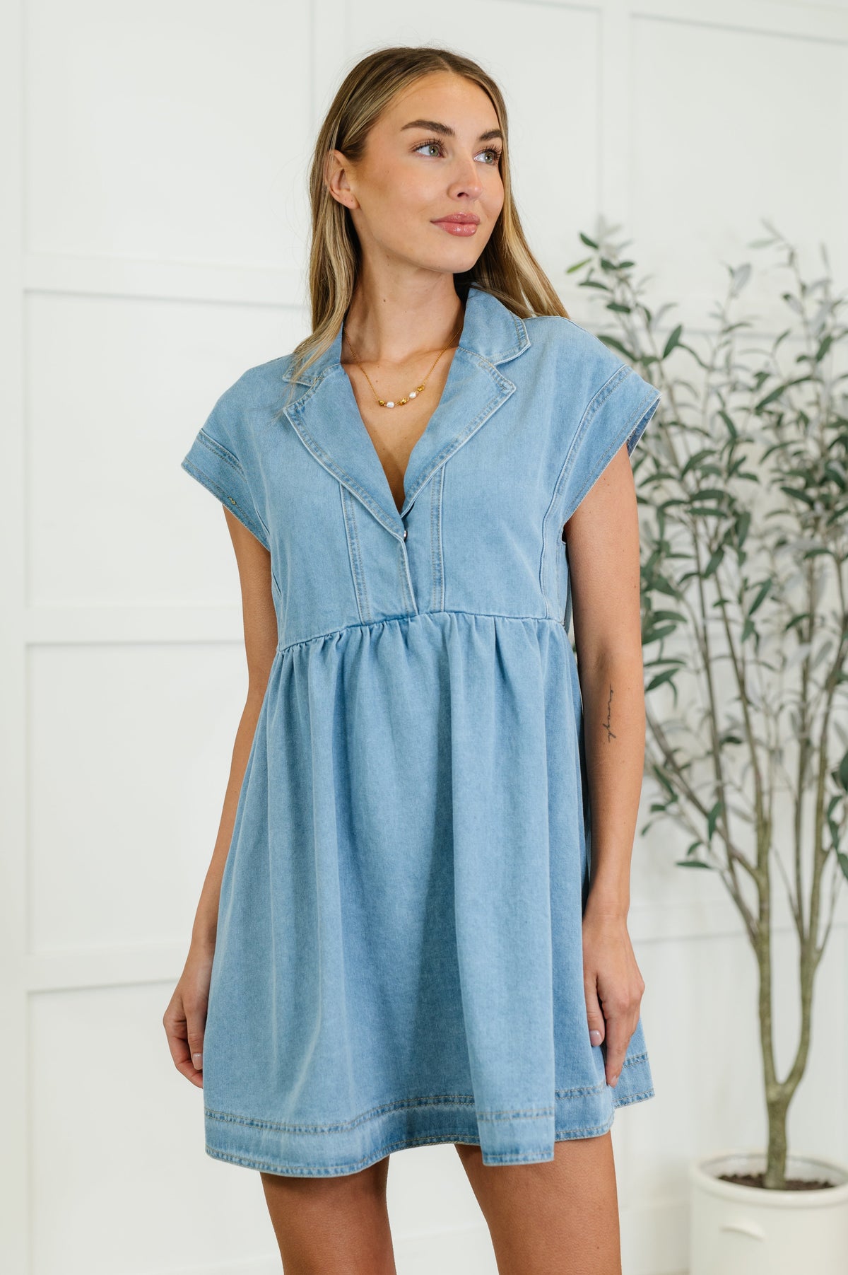 First Rodeo Denim Dress