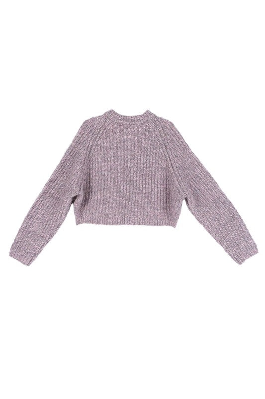 Melange Crop Sweater